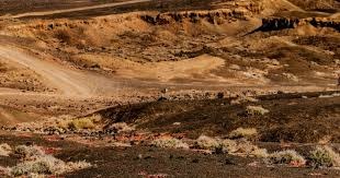 [图]巴黎圣日耳曼夺洲际杯冠军 加冕年度“六冠王”